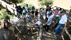 Kết nối biển xanh với đại ngàn