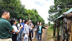 Khi văn hóa rừng và biển cùng hòa tiếng