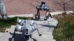 Robot trở thành bạn đồng hành trên toàn cầu