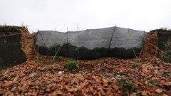 Miền Trung oằn lưng chống chọi mưa lũ