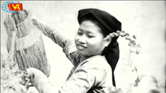 Mùa xuân trở lại trên từng khung hình cũ