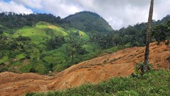 Nguyên nhân sạt lở nghiêm trọng giữa trời nắng ở Đà Nẵng