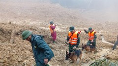 Vẫn chưa tìm thấy người mất tích