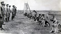 Người lính với đôi tai “ra đa” và trái tim dũng cảm