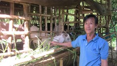  Động lực mới đến từ sự đổi thay trong từng tổ ấm