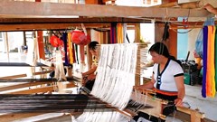  Nếp nhà, nếp nghề