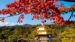 Nhật Bản - Hàn Quốc vào mùa lá đỏ rực rỡ, du khách Việt háo hức lên đường “săn thu”