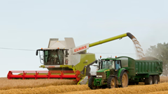 Nắng nóng và hạn hán kỷ lục khiến nông dân Anh thiệt hại 800 triệu bảng