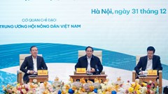 Hơn 5.000 ý kiến gửi về Hội nghị Thủ tướng đối thoại với nông dân năm 2025