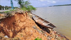  Kè sông Thạch Hãn bị sạt lở nghiêm trọng, ảnh hưởng hàng chục hộ dân