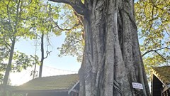 Điểm hẹn văn hóa Gia Rai bên Biển Hồ