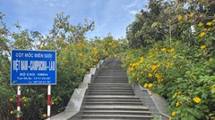  Xuân về trên Ngã ba Đông Dương