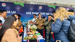 Gia Lai đẩy nhanh quảng bá Năm Du lịch quốc gia 2026