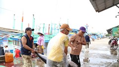  Vươn khơi đầu năm, gia đình là bến đợi