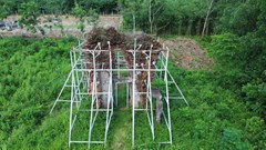  Sẽ tập trung làm rõ giá trị di tích Phật viện Đồng Dương