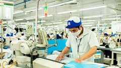 TP.HCM cần gần 60.000 việc làm sau Tết: Nhu cầu tăng mạnh theo nhịp sản xuất xuất khẩu