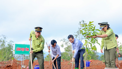 Trồng cây tại di tích núi Thiên Ấn, tri ân nhà chí sĩ yêu nước Huỳnh Thúc Kháng
