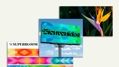 Olympic Los Angeles 2028 công bố bộ nhận diện hình ảnh lấy cảm hứng từ hoa