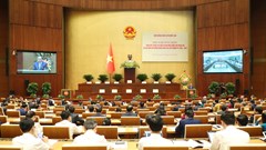 Lá phiếu cử tri phải được tiếp nối bằng chất lượng lập pháp