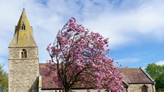 Nhà thờ cổ tại Anh nghiêng hơn Tháp nghiêng Pisa