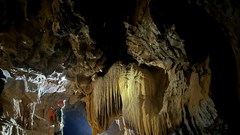 Mở ra hướng nghiên cứu sâu hơn về địa chất và hệ sinh thái lịch sử