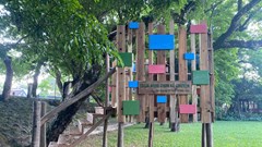 Khi tiếng chim bước vào không gian nghệ thuật đô thị