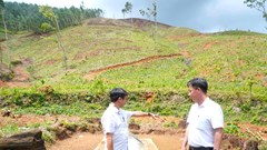 Những câu hỏi từ “người trong cuộc”