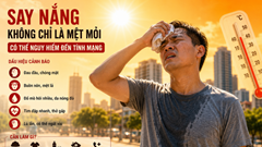Say nắng mùa hè: Vì sao người khỏe mạnh cũng có thể gục ngã?