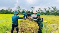 Tình quân dân “gieo” giữa mùa gặt