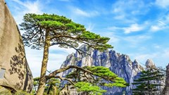 Di sản ba lần được UNESCO vinh danh dùng công nghệ phát triển du lịch bền vững