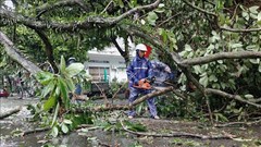 Quảng Ninh dồn lực sớm ổn định cuộc sống