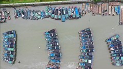 Hơn 715.000 người sơ tán khi bão Noul đổ bộ Trung Quốc