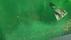 Ba người thiệt mạng, hơn 70 người bị thương tại sân vận động Algeria