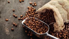 Giá cà phê hôm nay 24.10: Trong nước tăng vọt, lập đỉnh mới trên 118.000 đồng/kg