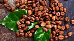 Giá cà phê hôm nay 28.10: Tăng nhẹ 500 đồng/kg, thị trường trong nước khởi sắc
