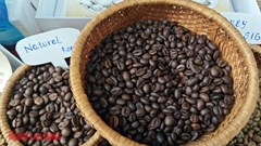 Giá cà phê hôm nay 30.10: Trong nước tăng nhẹ, thế giới biến động trái chiều