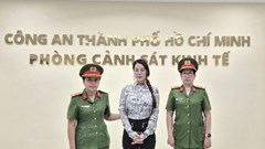 Diễn viên Trương Ngọc Ánh bị khởi tố, bắt tạm giam
