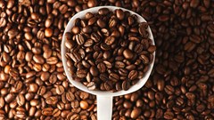 Giá cà phê hôm nay 5.11: Tăng mạnh tại Tây Nguyên, vượt mốc 119.000 đồng/kg