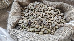 Giá cà phê hôm nay 9.11: Bật tăng trở lại, tiến sát mốc 120.000 đồng/kg