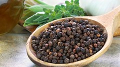 Giá tiêu hôm nay 14.11: Tiêu nội địa giảm đồng loạt, giao dịch quanh 144.000 – 145.500 đồng/kg