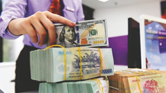 Tỉ giá USD ngày 14.11: Trượt nhẹ trên cả thị trường ngân hàng và tự do