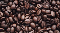 Giá cà phê hôm nay 22.11: Bật tăng phục hồi sau phiên giảm sâu