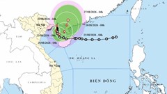 Hải Phòng, Quảng Ninh tạm dừng hoạt động tàu thuyền trên biển để ứng phó bão số 4
