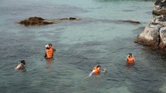 Khảo sát, trải nghiệm du lịch tại huyện đảo Lý Sơn