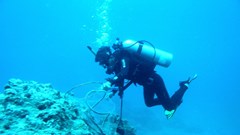 Lặn biển dọn rác thải, làm sạch đáy biển ở Lý Sơn