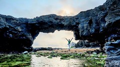 Khôi phục “Ký ức cổng Tò Vò xưa” ở đảo Lý Sơn