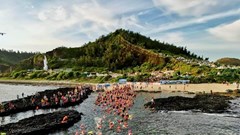 600 vận động viên đến từ 10 quốc gia tranh tài Giải Bơi vượt biển Lý Sơn 