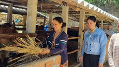 Xã Hành Tín Đông chăm lo chỗ ở và sinh kế cho hộ nghèo 