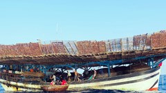 Tàu câu mực trở về từ Trường Sa thu hàng trăm tỉ đồng