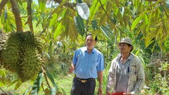 Xã Hành Tín Đông xây dựng NTM gắn với giảm nghèo bền vững